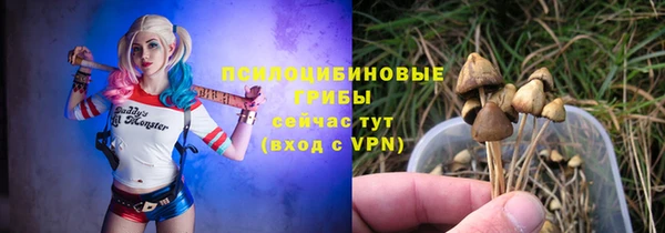 молекула духа Вяземский