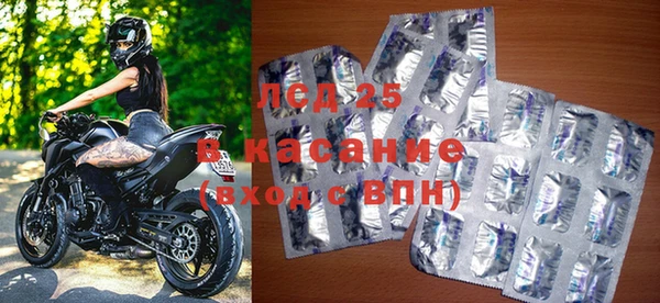 прущие грибы Верхний Тагил