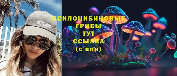 ПСИЛОЦИБИНОВЫЕ ГРИБЫ Волосово