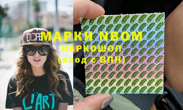 прущие грибы Кизел