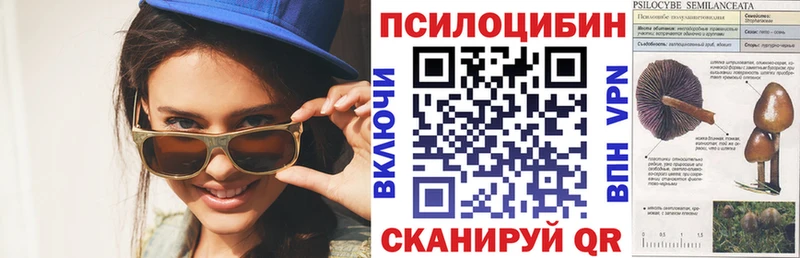 маркетплейс формула  Давлеканово  Псилоцибиновые грибы Psilocybe 